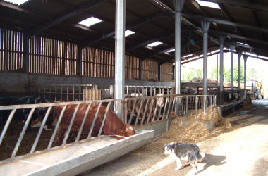 Agricultural Buildings